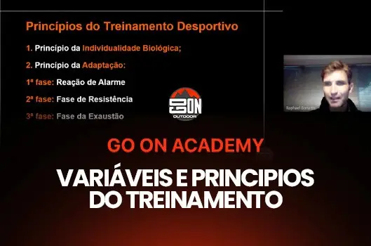 Variáveis e princípios do treinamento