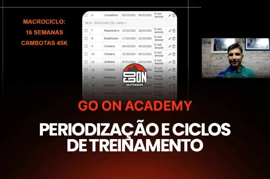 Periodização e ciclos de treinamento
